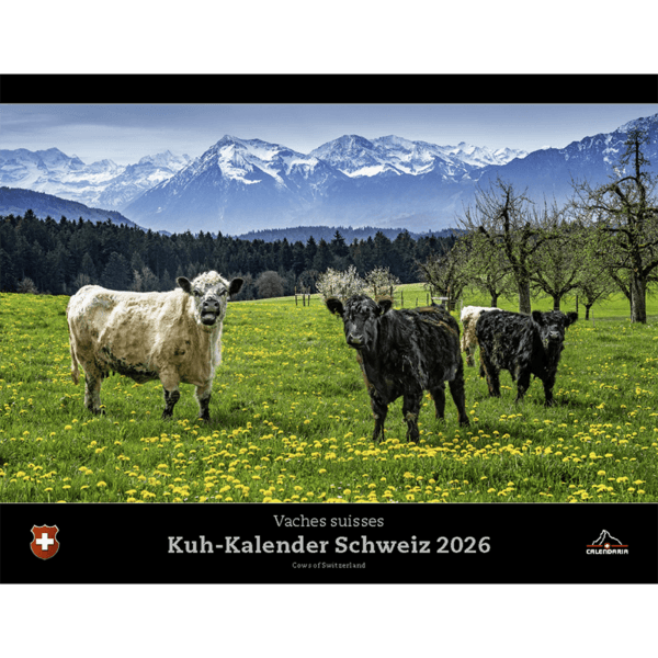 Kuh Kalender 2026
