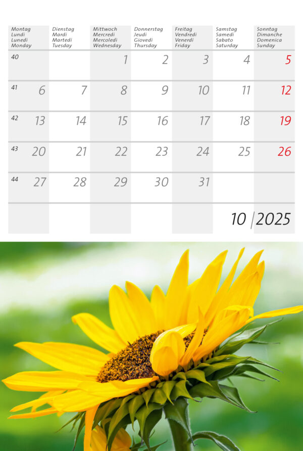 Plantes d'alpage et de jardin 2025